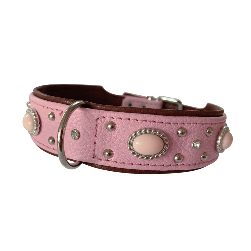 Hundehalsband Amici - individuelle Farbgestaltung
