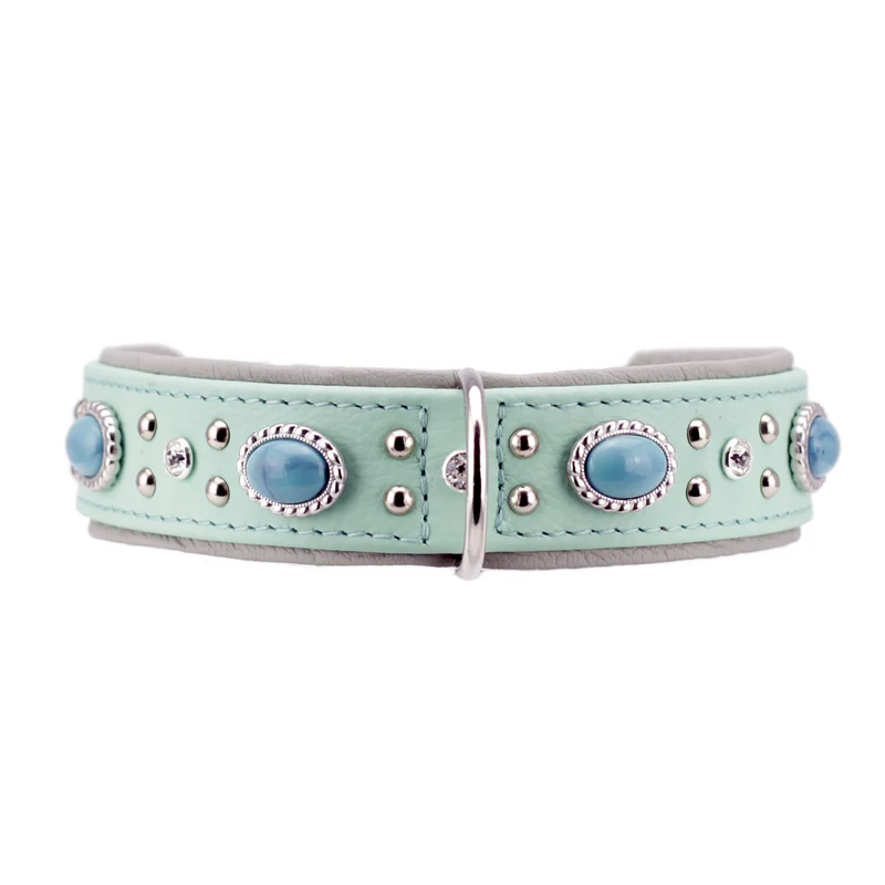 Hundehalsband Amici - individuelle Farbgestaltung