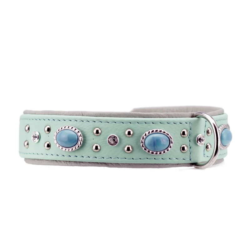 Hundehalsband Amici - individuelle Farbgestaltung
