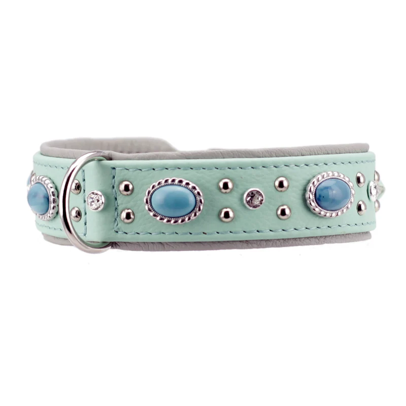 Hundehalsband Amici - individuelle Farbgestaltung