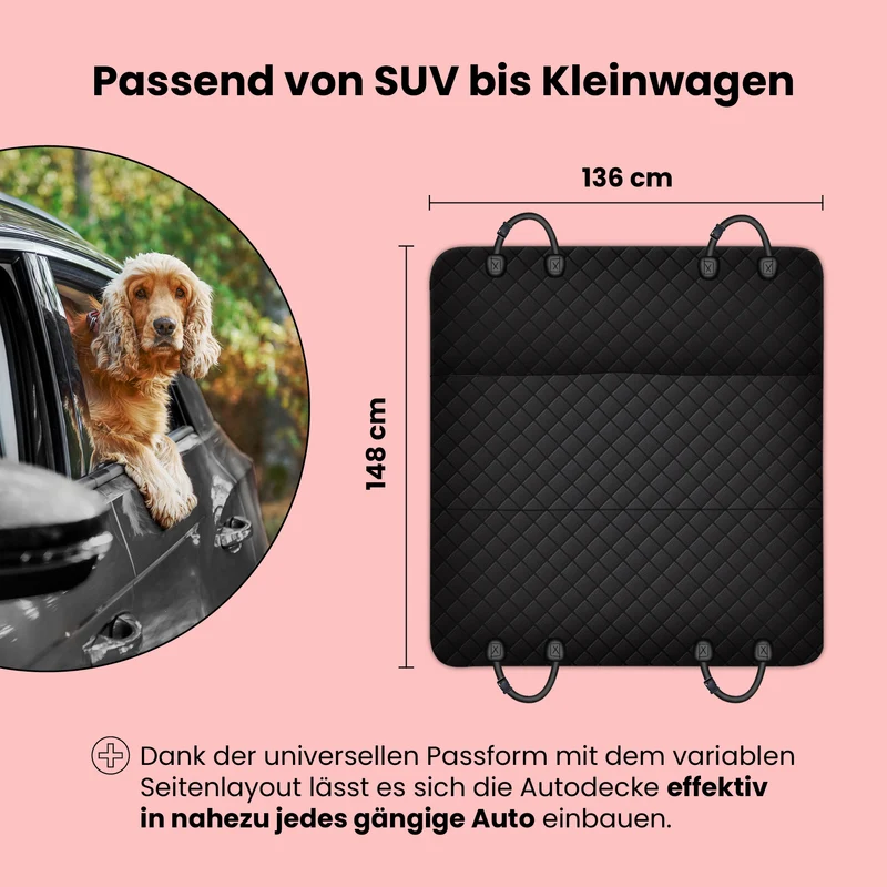 Auto Rückbankschutz