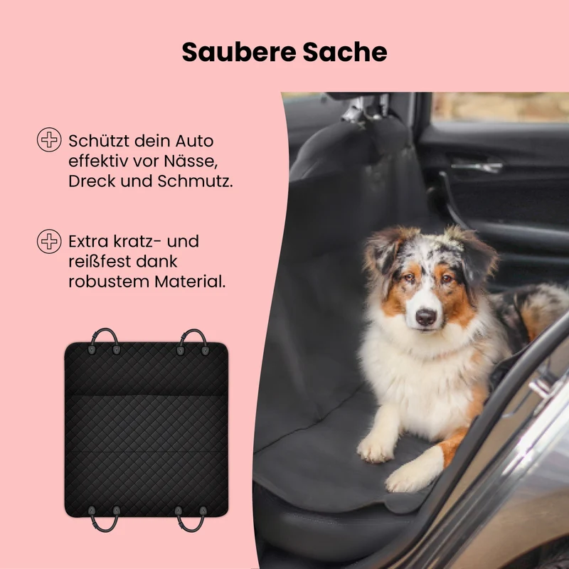 Auto Rückbankschutz