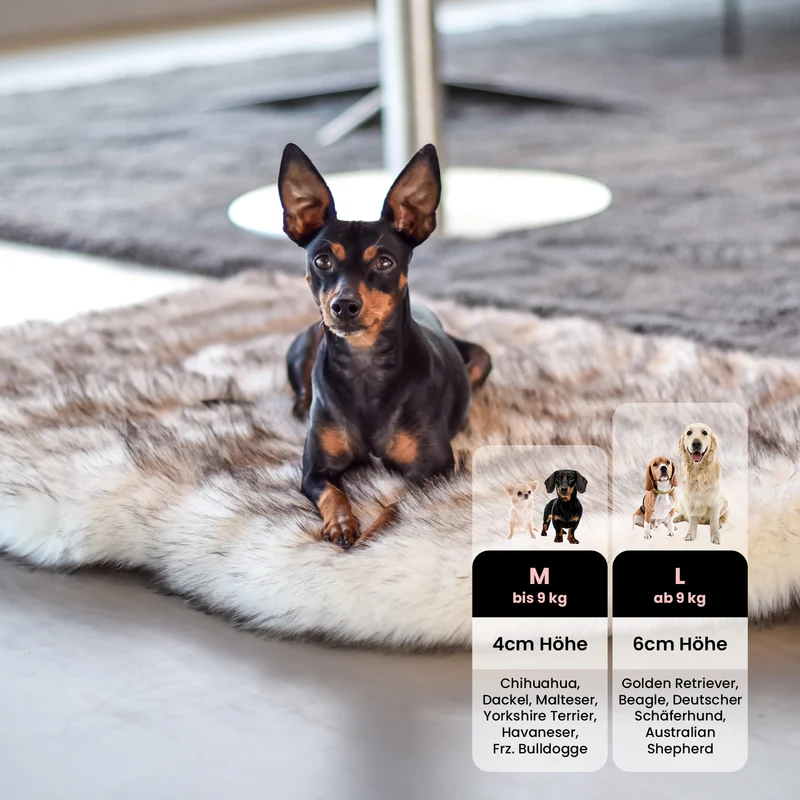 Orthopädisches Hundebett - Relax