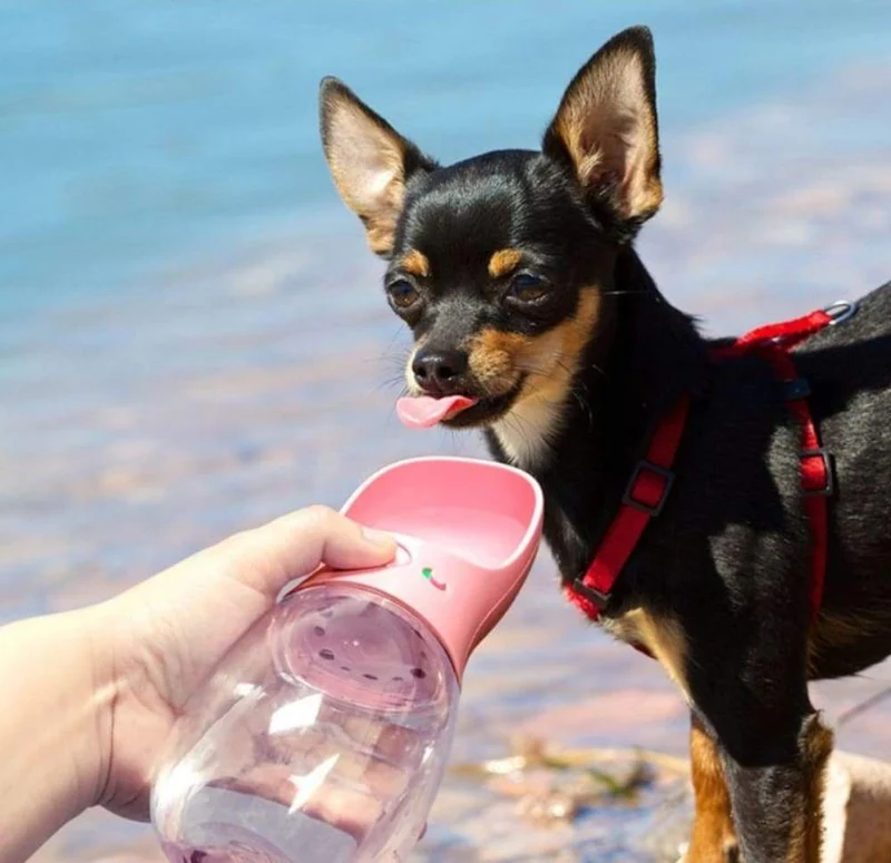 Hunde Trinkflasche inkl. Futterbehälter