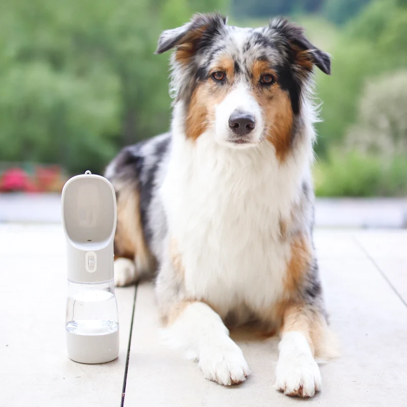 Hunde Trinkflasche inkl. Futterbehälter