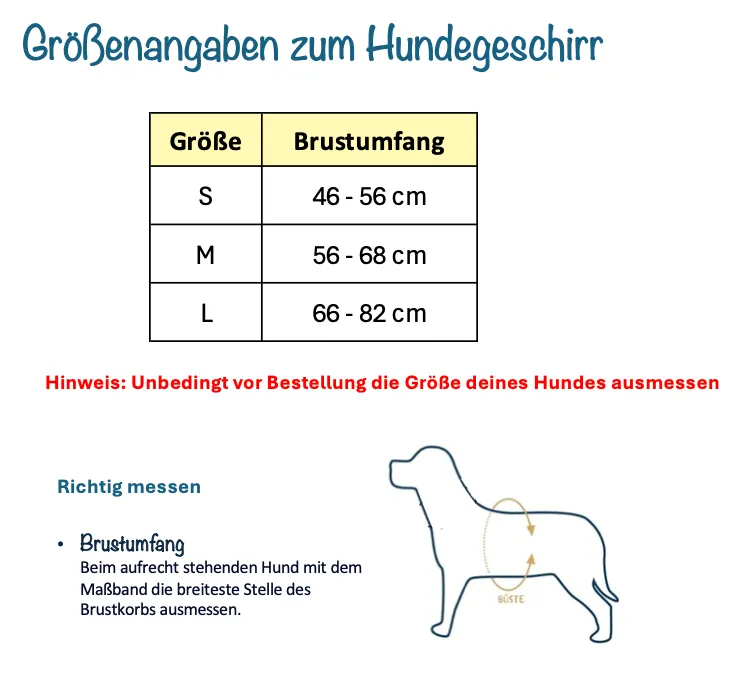 4 tlg. Hundegeschirr Boston