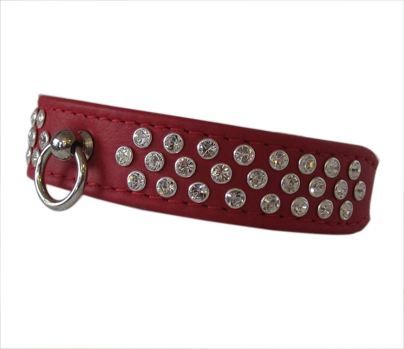 Hundehalsband StarDog - individuelle Farbgestaltung