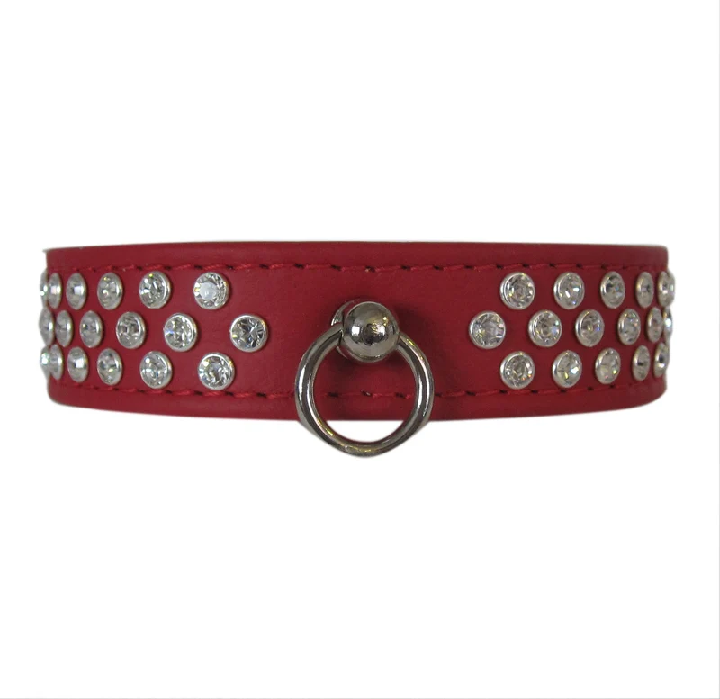 Hundehalsband StarDog - individuelle Farbgestaltung