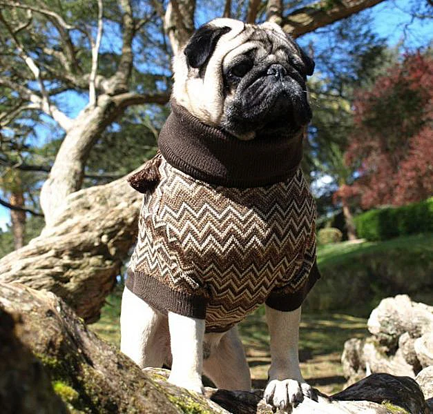 Petsonality – Hundepullover Brown Sugar