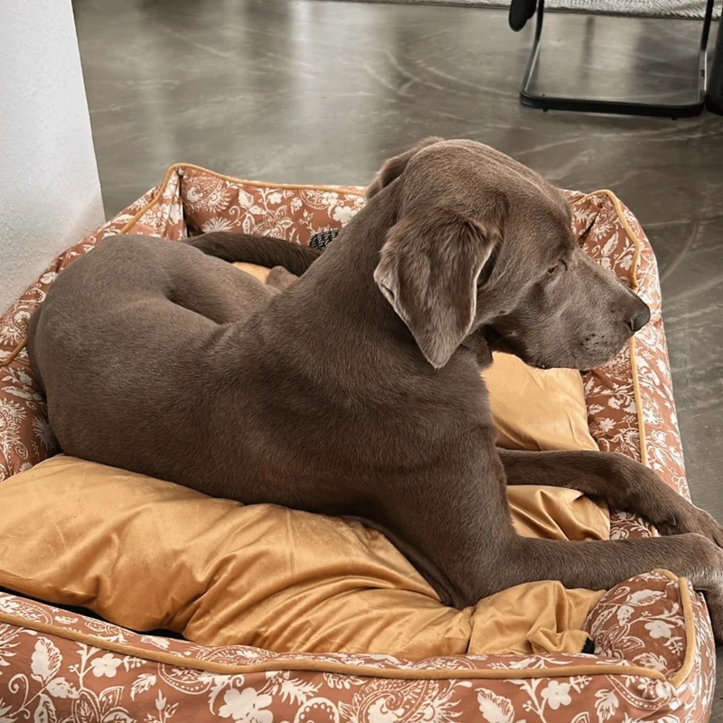 Hundebett Austin "Emmelie"