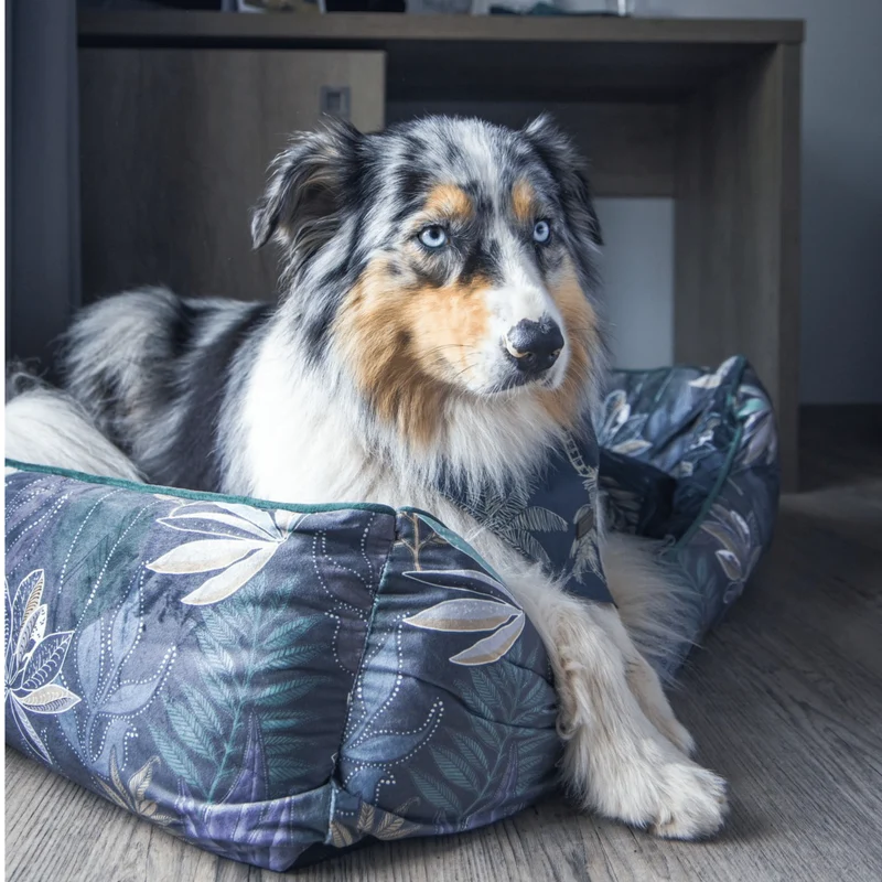 Hundebett Austin "Max"