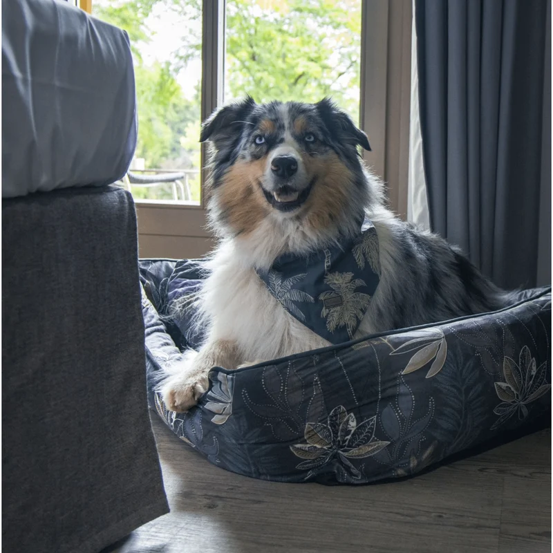 Hundebett Austin "Max"