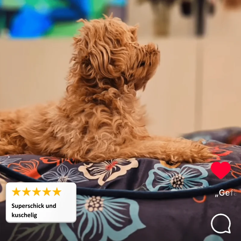 Hundebett Austin "Max"