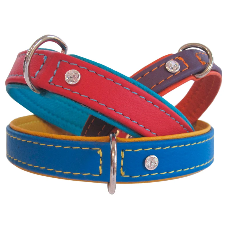 Ausstellungsstücke Hundehalsband Metropolitan - Größen 50 und 55 cm