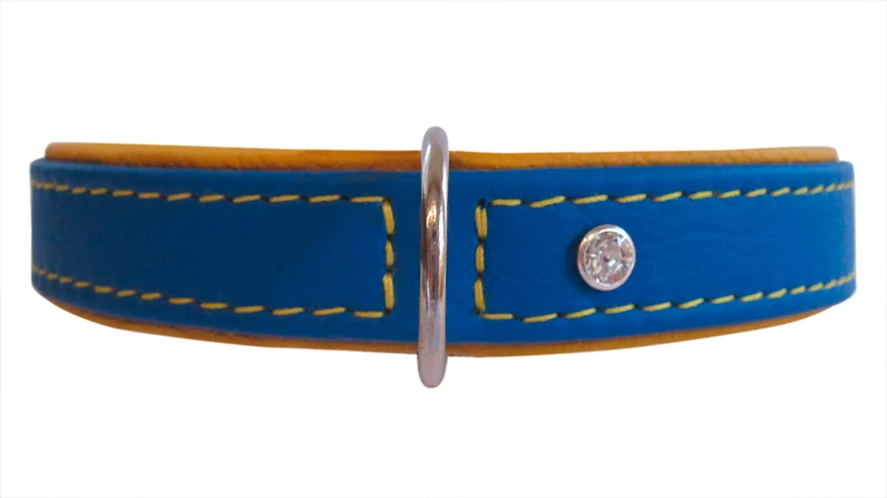 Ausstellungsstücke Hundehalsband Metropolitan - Größen 50 und 55 cm