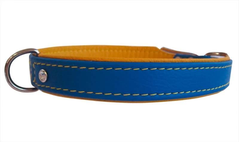 Ausstellungsstücke Hundehalsband Metropolitan - Größen 50 und 55 cm