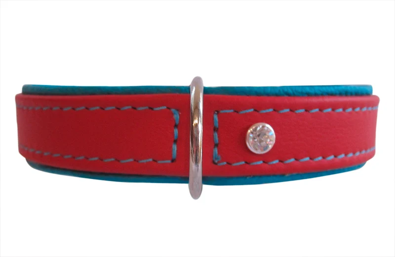 Ausstellungsstücke Hundehalsband Metropolitan - Größen 50 und 55 cm