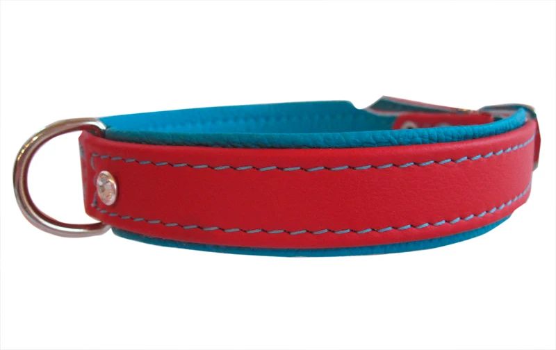 Ausstellungsstücke Hundehalsband Metropolitan - Größen 50 und 55 cm