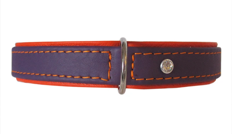Hundehalsband Metropolitan