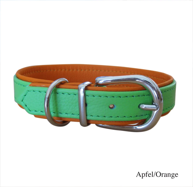Hundehalsband Basic in vielen Farbkombis