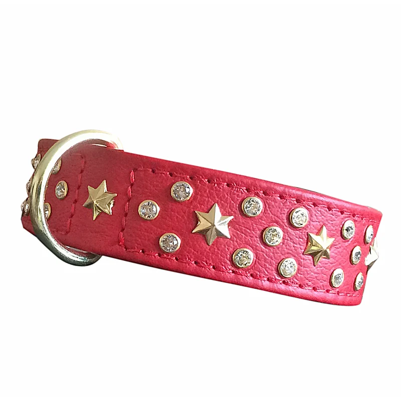 Hundehalsband Pollux - individuelle Farbgestaltung