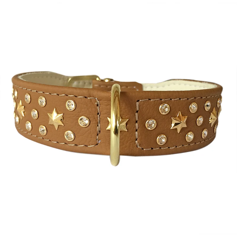 Hundehalsband Pollux - individuelle Farbgestaltung