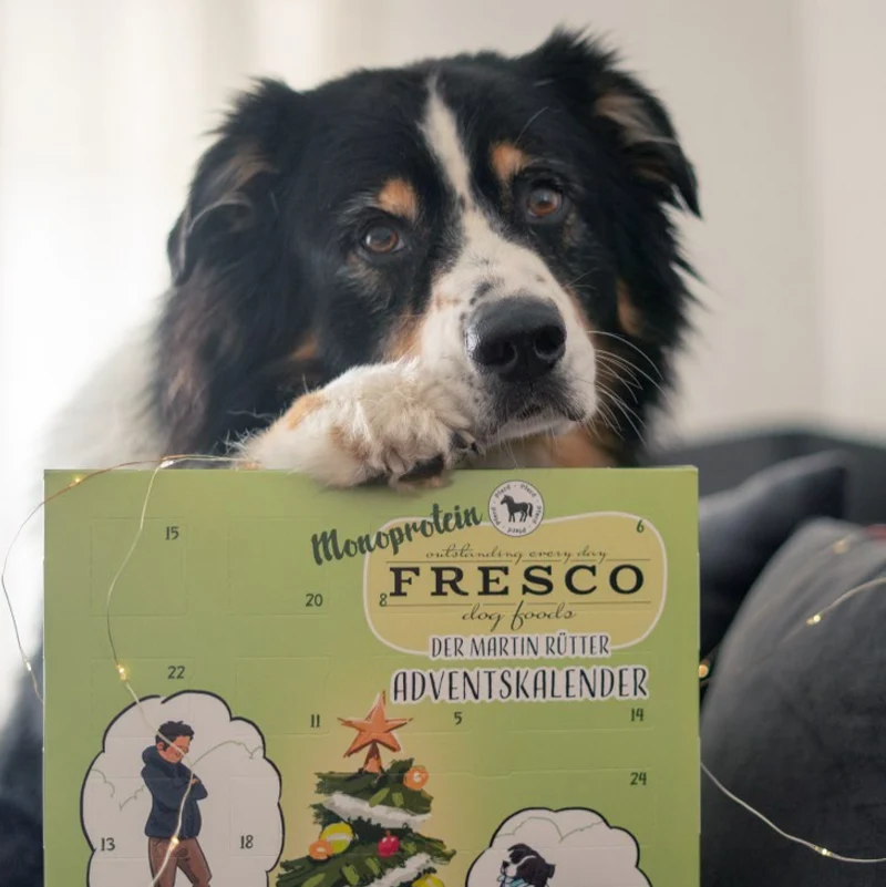 Adventskalender für Hunde - Sorte "Geflügel"