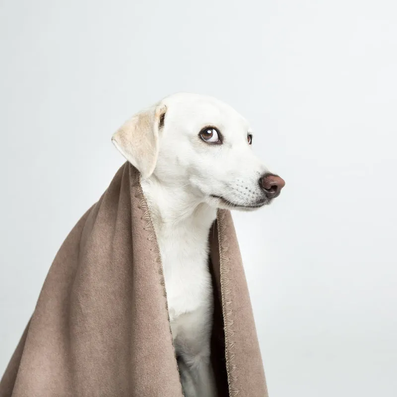 Cloud7 - Hundedecke Soft Fleece Sand