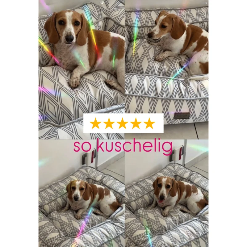 Hundebett Boise "Ruby"