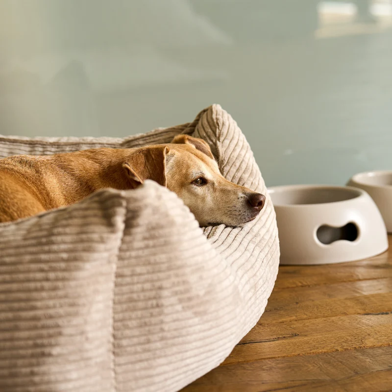 Hundebett mit Wendekissen Cozycord