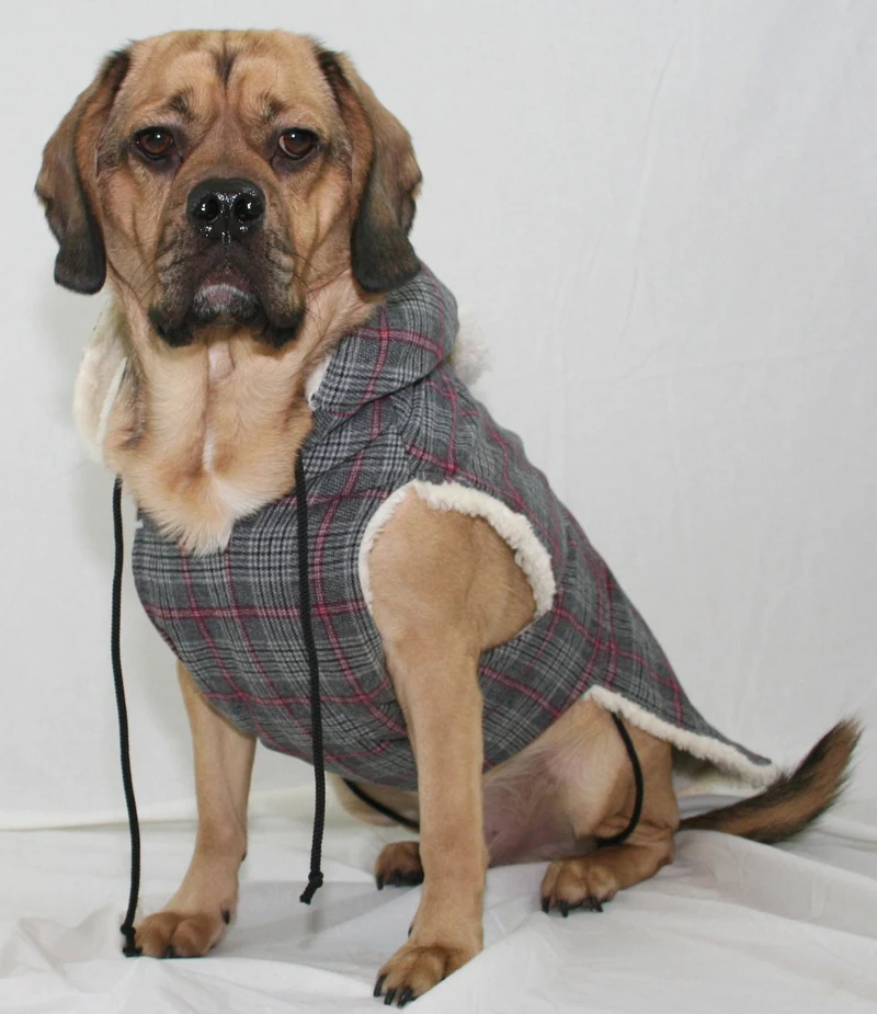 Hundemantel Floppy mit Lammwolle