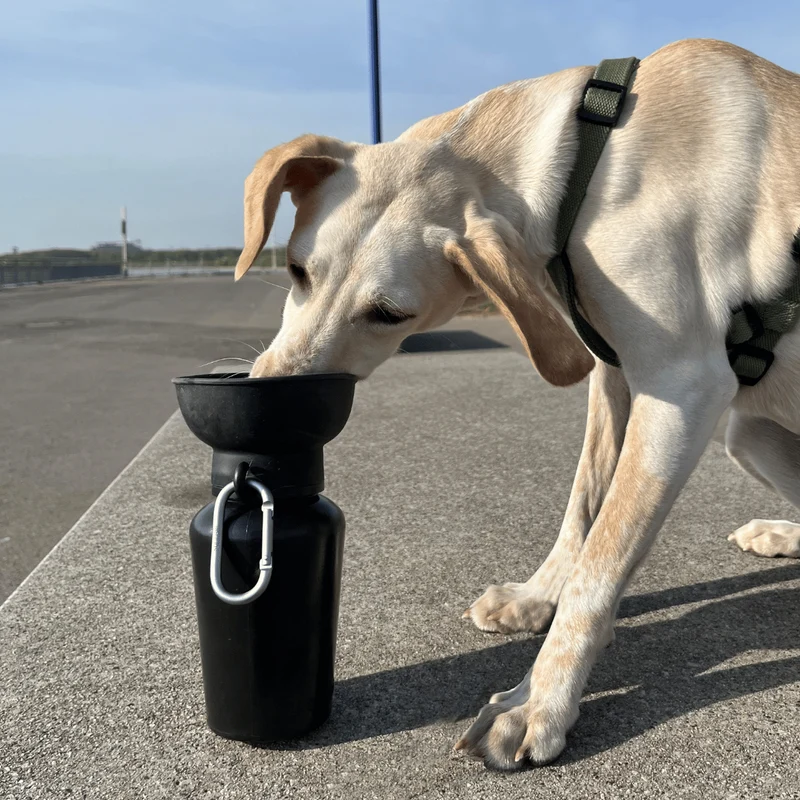 Reise Wasserflasche mit Napf