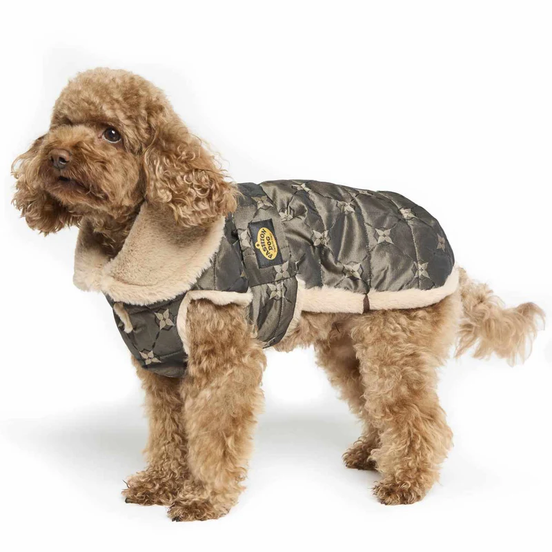 Eleganter Hundemantel – warm, wetterfest & komfortabel