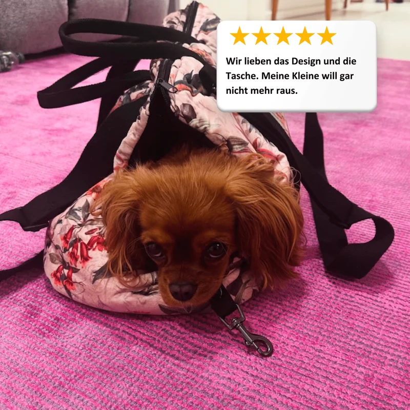 Hundetragetasche Portland "Elodie"