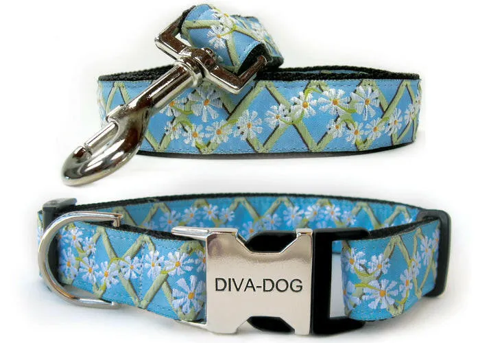 DIVA DOG Daisy - Set aus Halsband und Leine