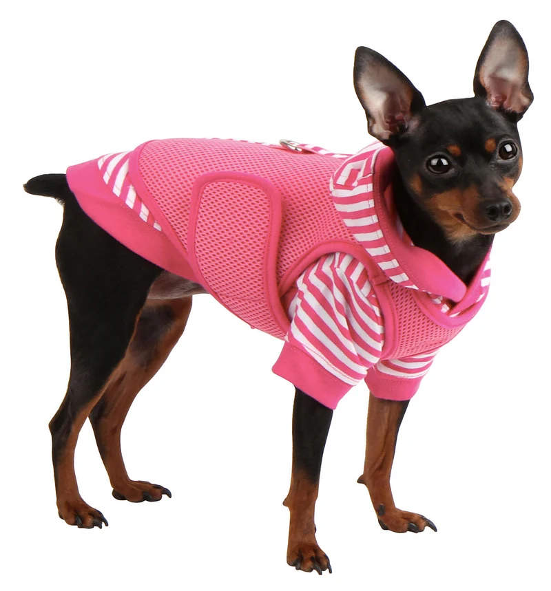 Puppia Twosome Hoodie
