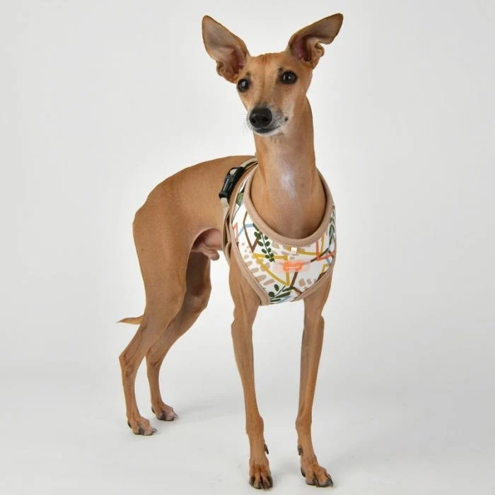 Puppia Botanical Harness A - Softgeschirr Gemustert Beige