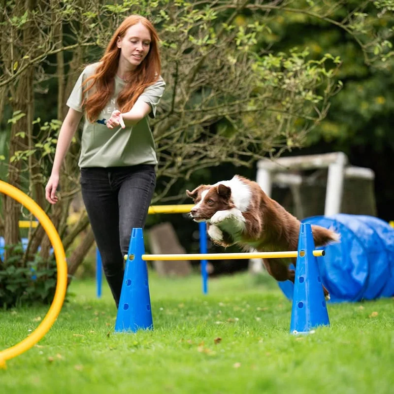 Agility Pylone