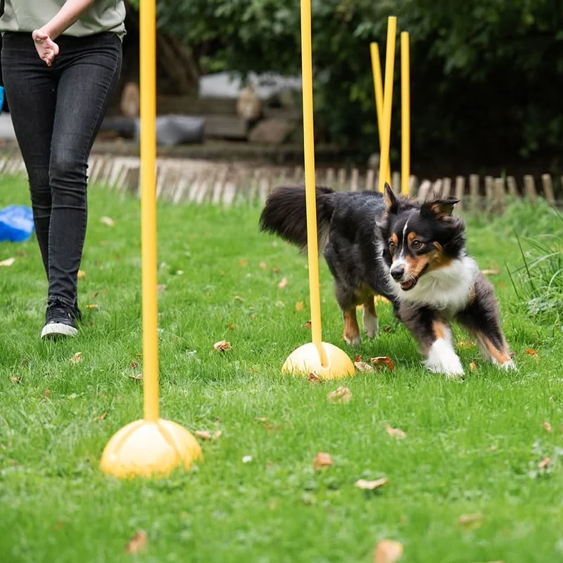 Agility Hürden- & Slalomstange
