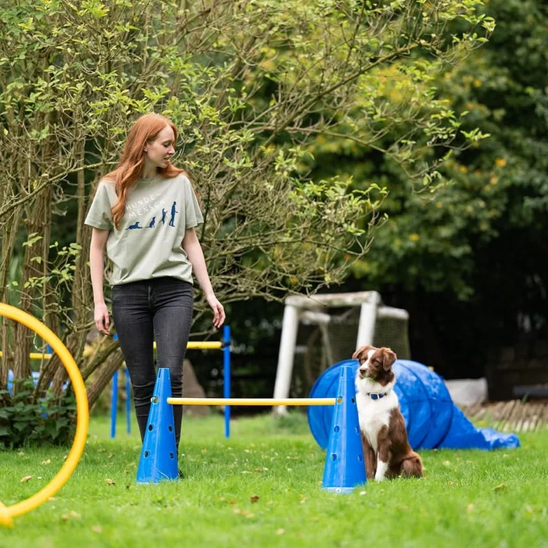 Agility Hürden- & Slalomstange