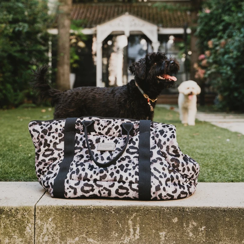 Hundetragetasche Portland "Claudelle"