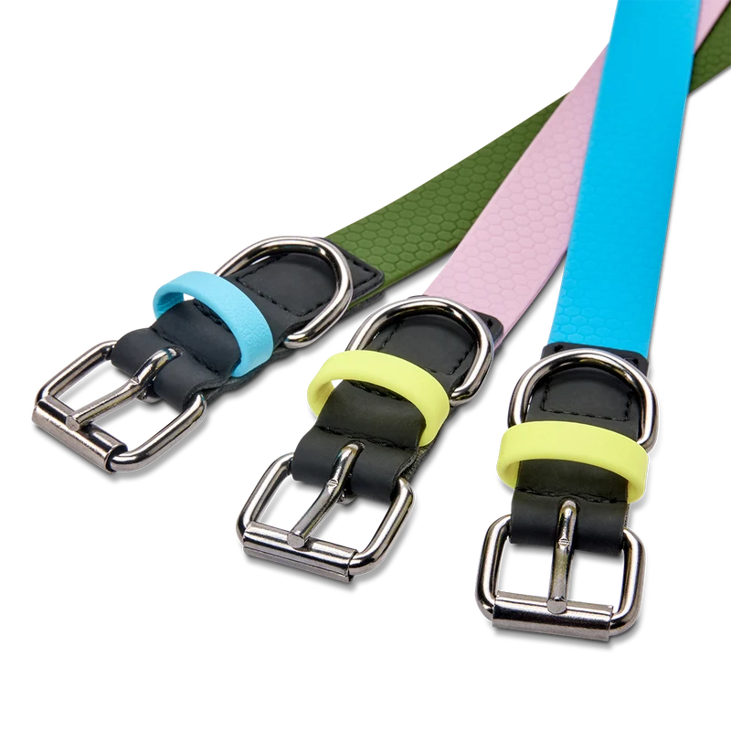 Hundehalsband mit veganem Apfelleder Cyanblau
