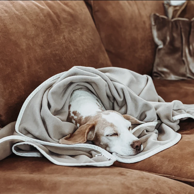 Hundekuscheldecke Fleece