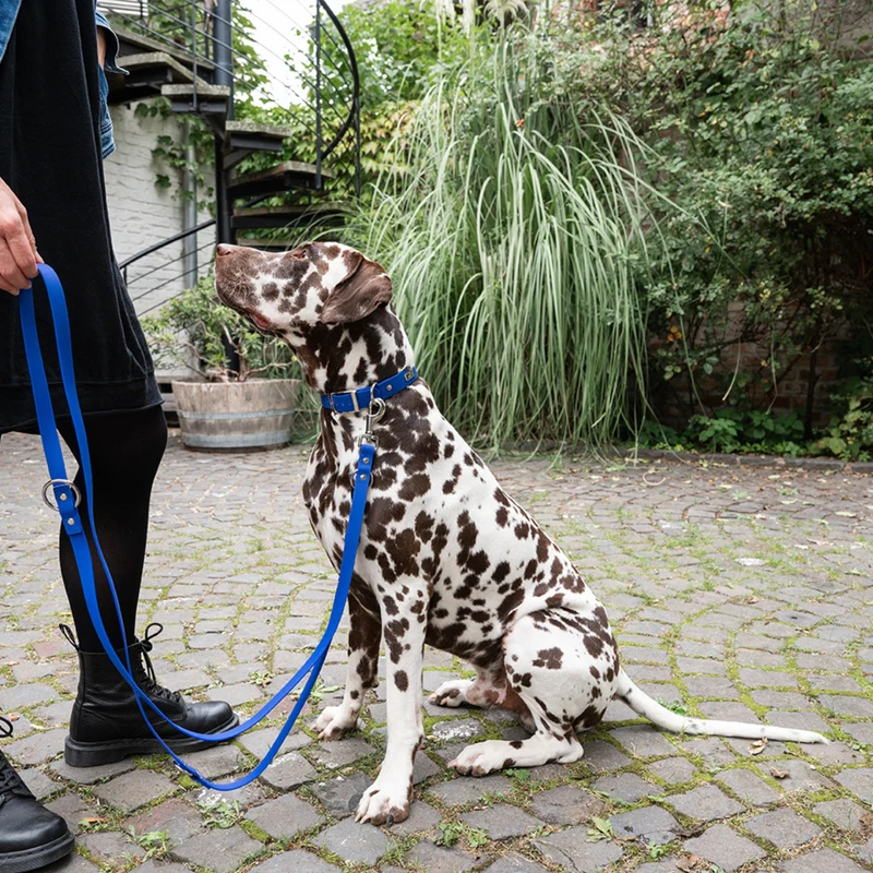 Hundehalsband Soft Vinyl Kobaltblau