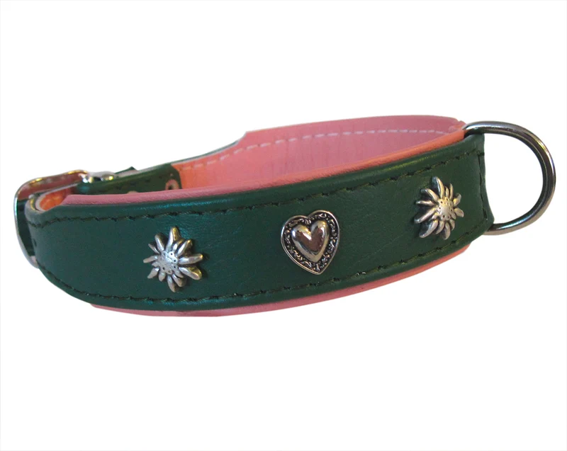 Hundehalsband Heidi&Sepp - individuelle Farbgestaltung