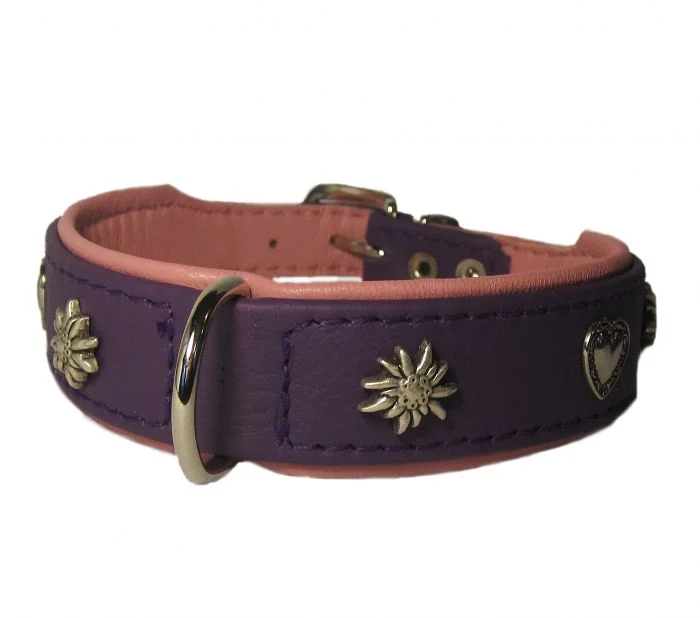 Hundehalsband Heidi&Sepp - individuelle Farbgestaltung