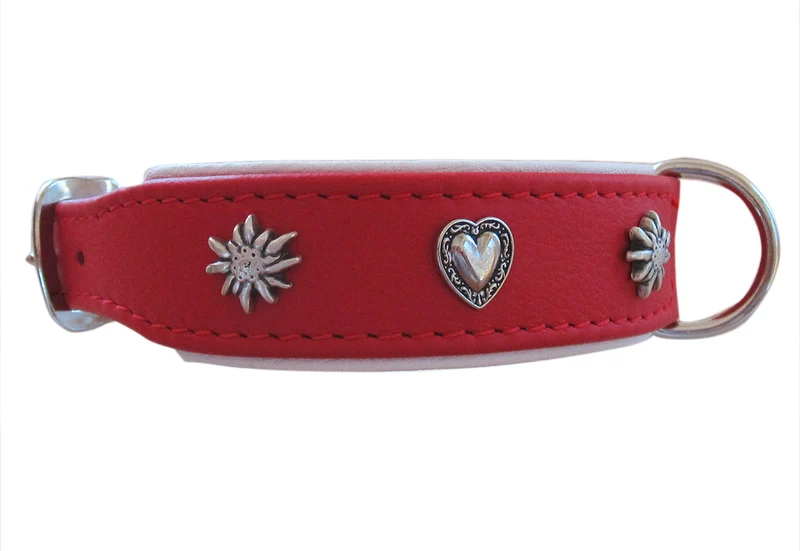 Hundehalsband Heidi&Sepp - individuelle Farbgestaltung