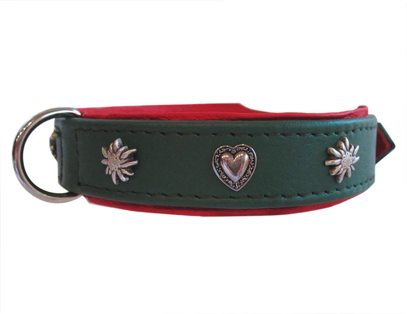 Hundehalsband Heidi&Sepp - individuelle Farbgestaltung
