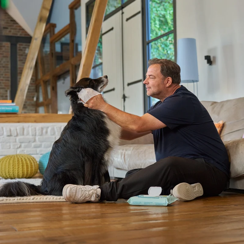 Feuchttücher für Hunde