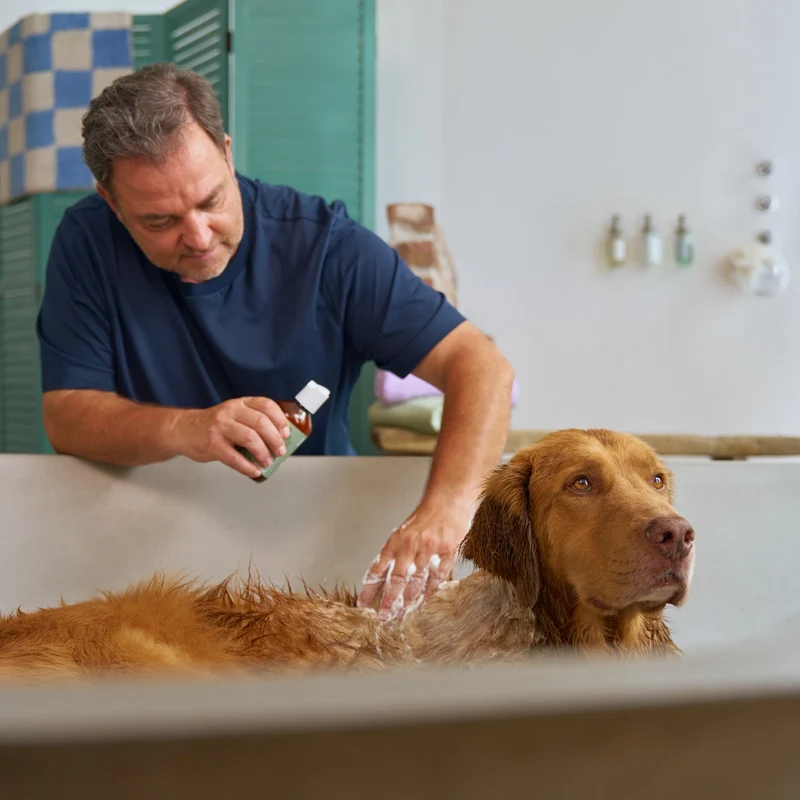 Hundeshampoo für Kurz- und Langhaar